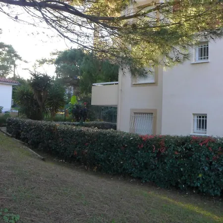 Tassigny By Interhome * Capbreton